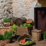 brown woven baskets with green plants