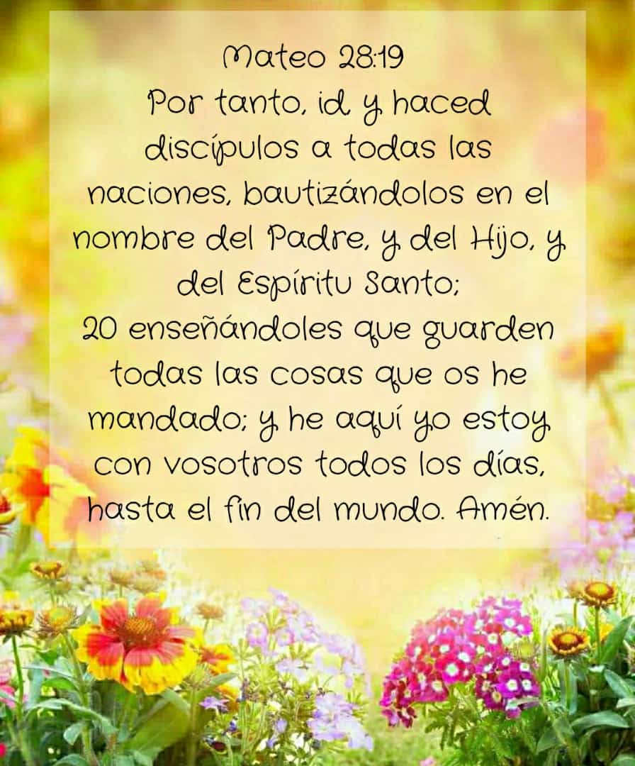 reflexi-n-de-mateo-28-19-20-la-biblia